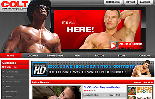 COLTstudioGroup