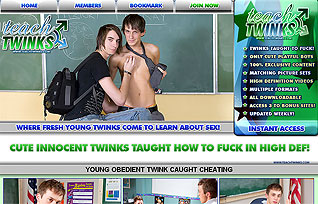 TeachTwinks